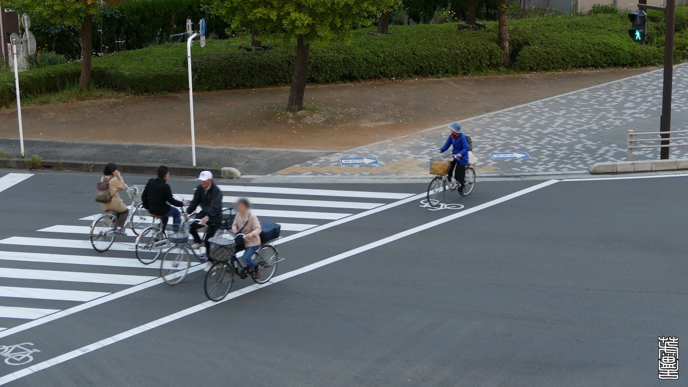 横断 帯 自転車