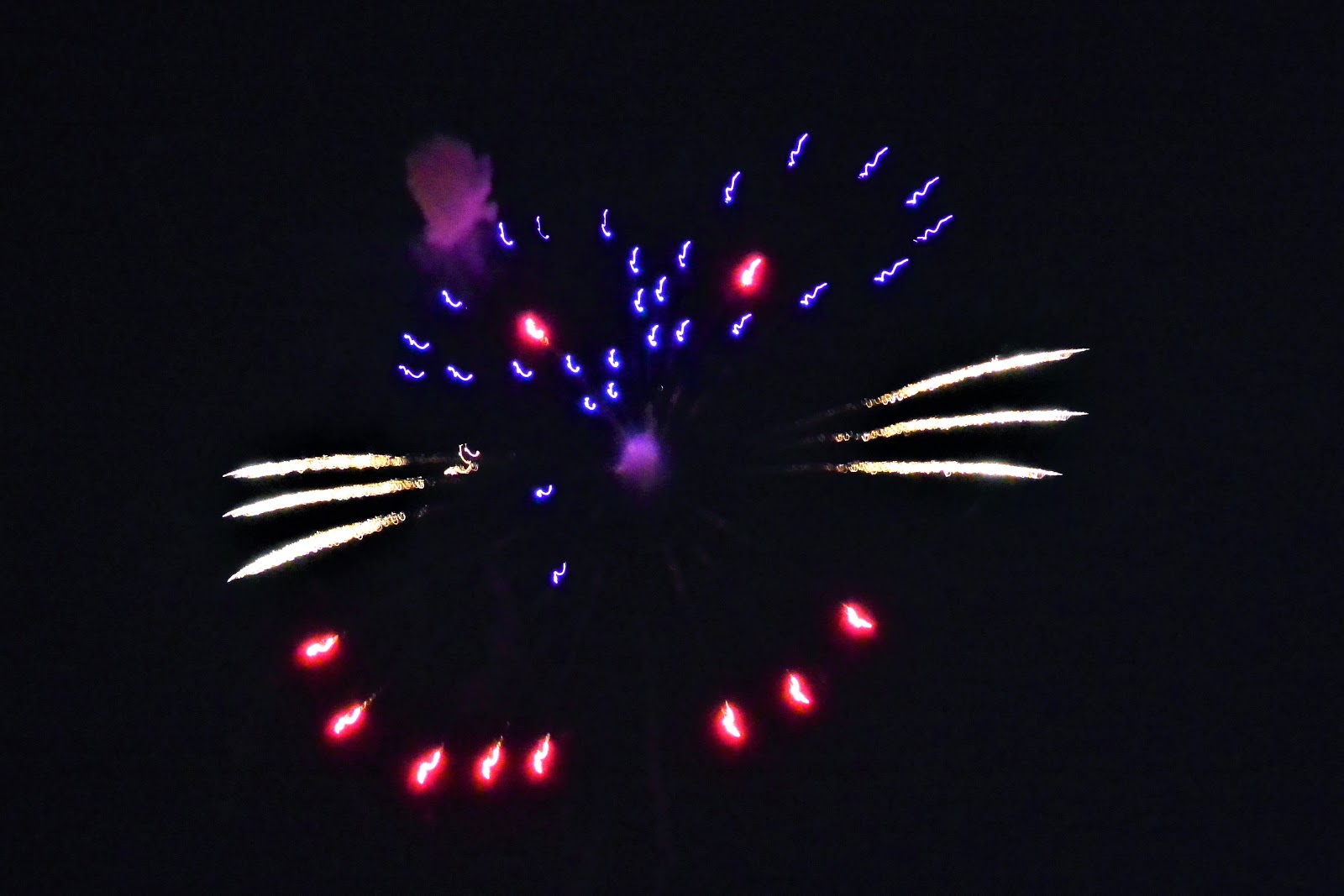 那須ダイアリーnew 今年の夏 最後の花火