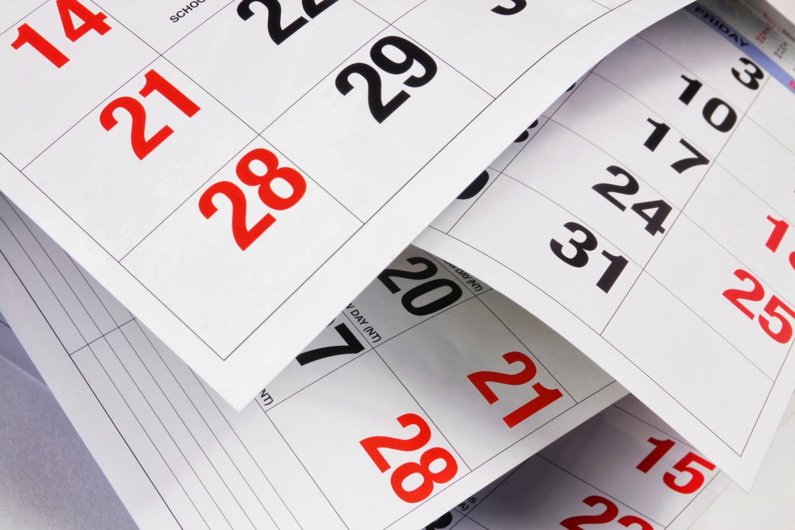 ELIfe Stay On Track What s Happening This Week At ELI July 29 elife-stay-on-track-what-s-happening-this-week-at-eli-july-29