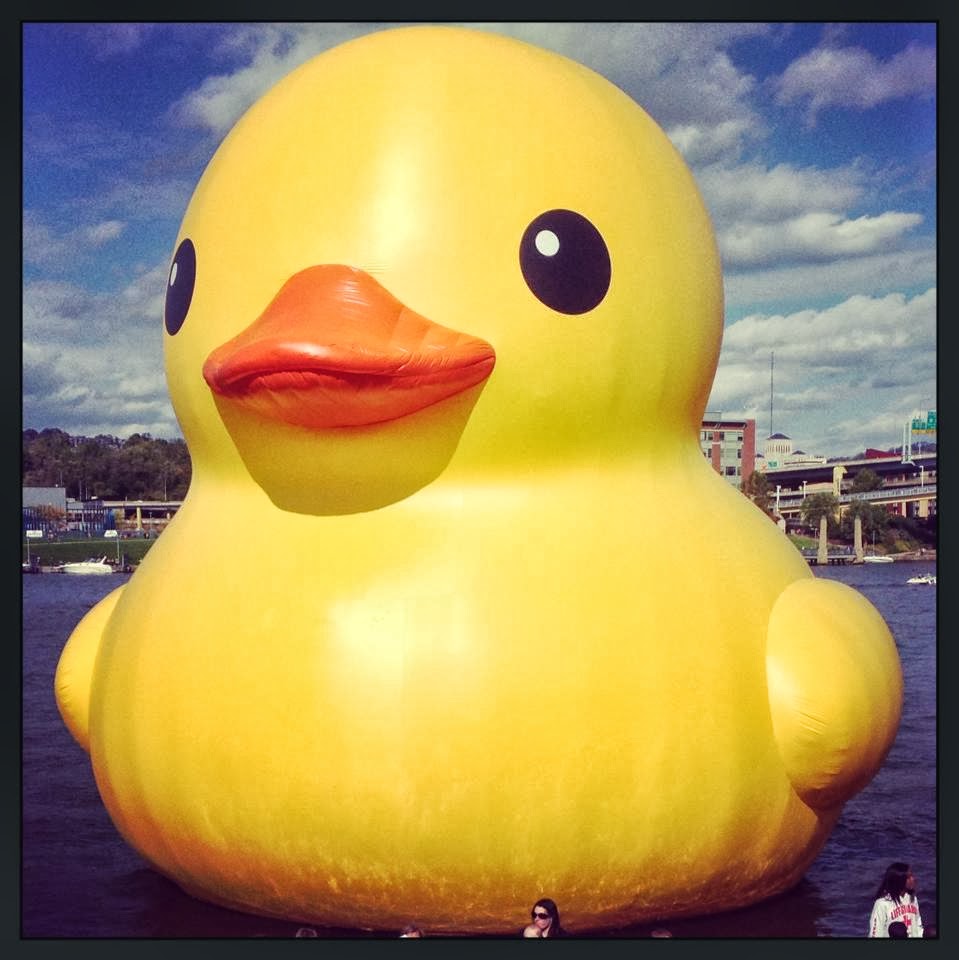 In this Crazy Life Rubber Ducky, You're the One!