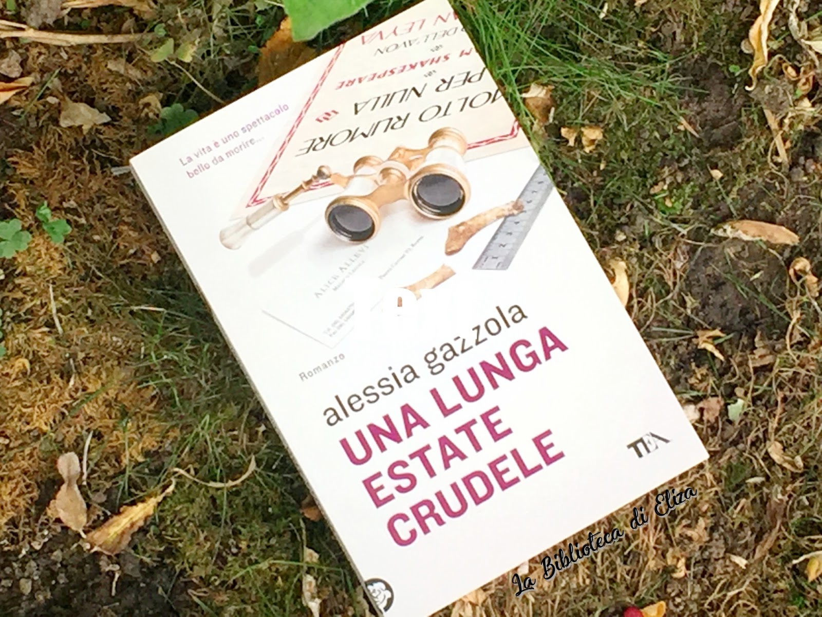 La Biblioteca di Eliza Recensione Una lunga estate crudele Alessia jpg (1600x1200)