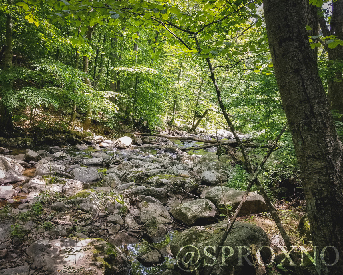 India Brook Park Buttermilk Falls Hike Pushing Myself