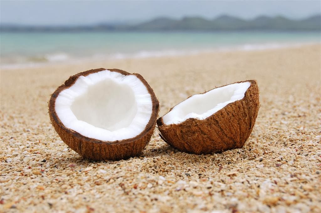 Propiedades Aceite Coco Natural