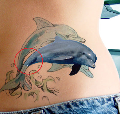 Dolphin Tattoos Designs,dolphin tattoo designs,dolphin tattoo,dolphin tattoo design,dolphin tattoos