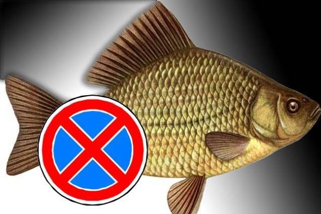 Рыба лове екатеринбург. День действий против рыбной ловли. Нельзя рыбу. Картинки р=сохранение рыба. Кубырь на рыбу.