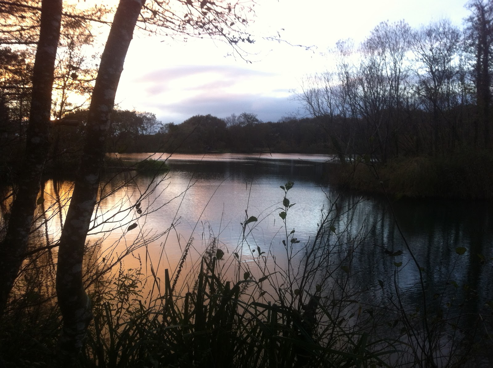 Carp fishing Emperor Lakes Devon, first visit, recce trip. 1 fish banked