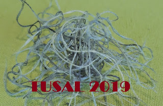 http://krzyzykdokrzyzyka.blogspot.com/2018/12/tusal-2019.html