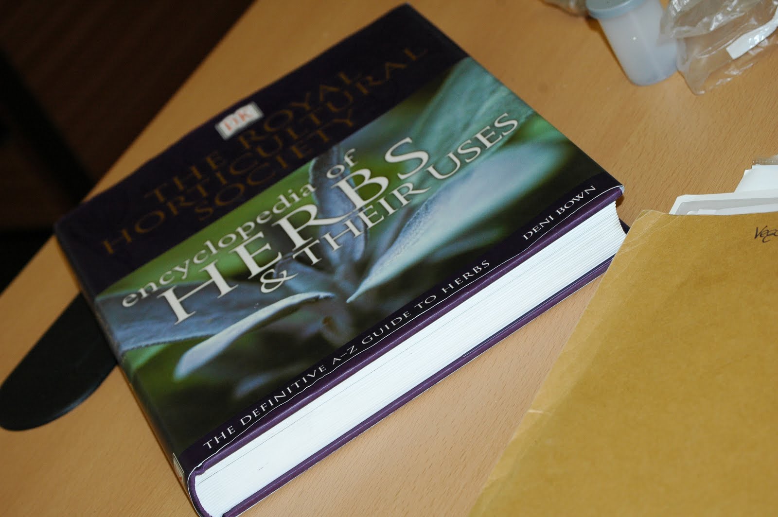 The wind and the wellies August 2011