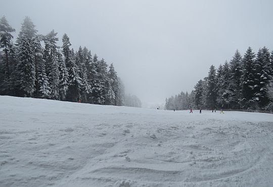 Trasa narciarska ośrodka Kasina Ski.