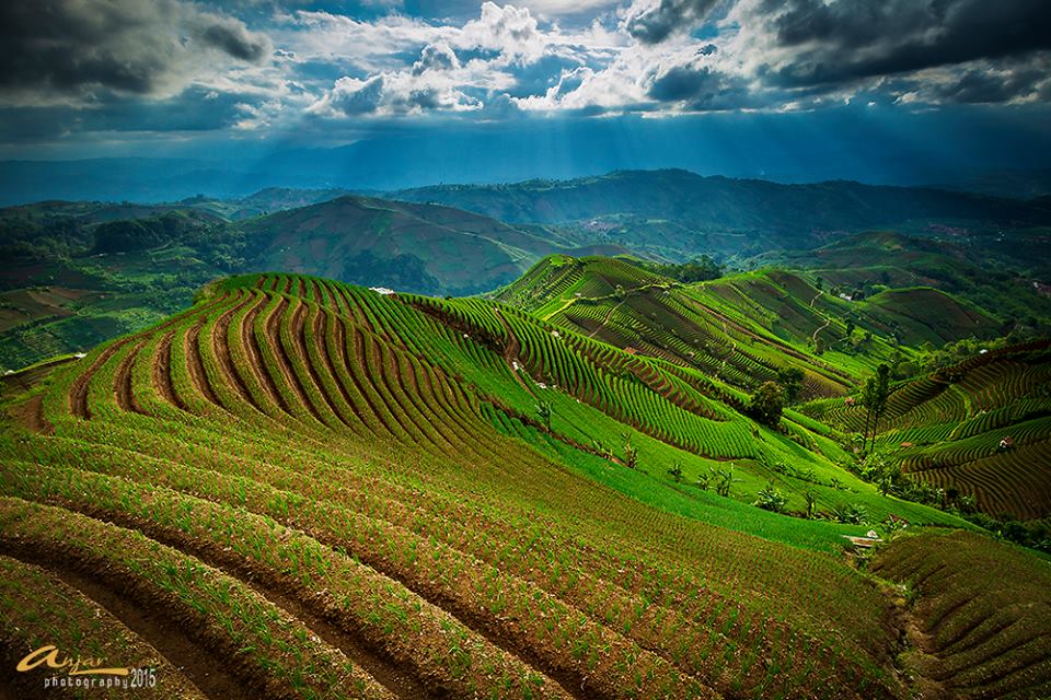 Majalengka KITA Keindahan Terasering ArgapuraMajalengka