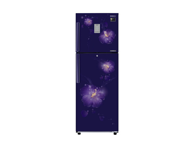 Samsung Frost Free 253 L Double Door Refrigerator