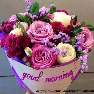 Good Morning with Flower Bookey to Friends on Whatsapp