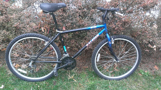1997 blue raleigh m20 mountain bike