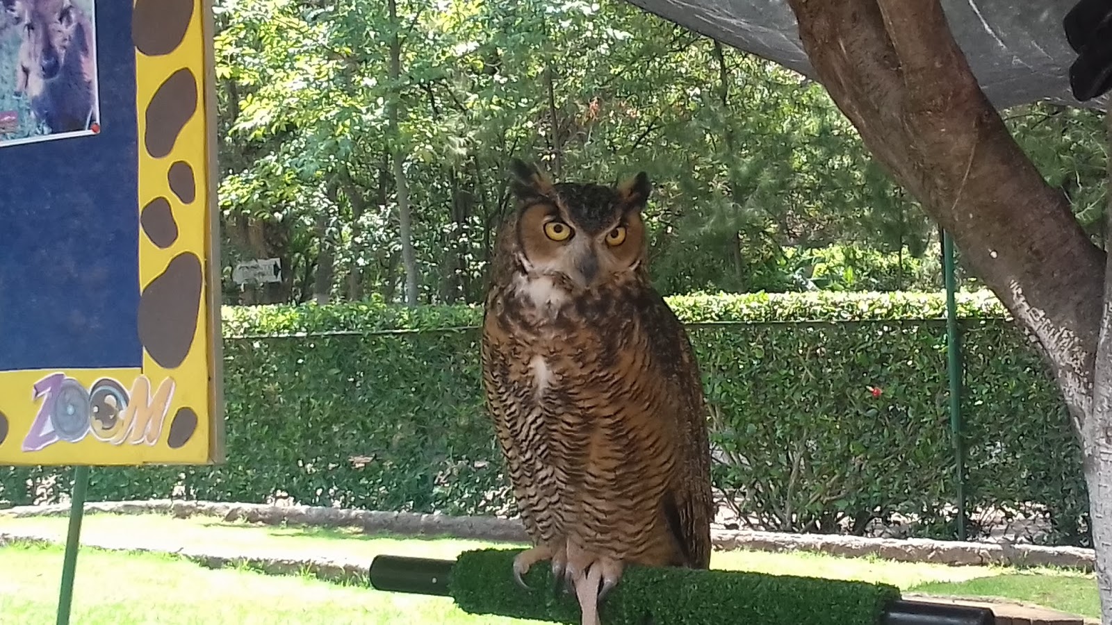 MORELIA Y SU ZOOLÓGICO, EN EL ESTADO DE MICHOACÁN CIENCIA, SALUD Y