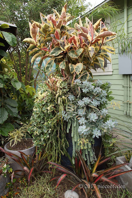 Beautiful California Garden #2