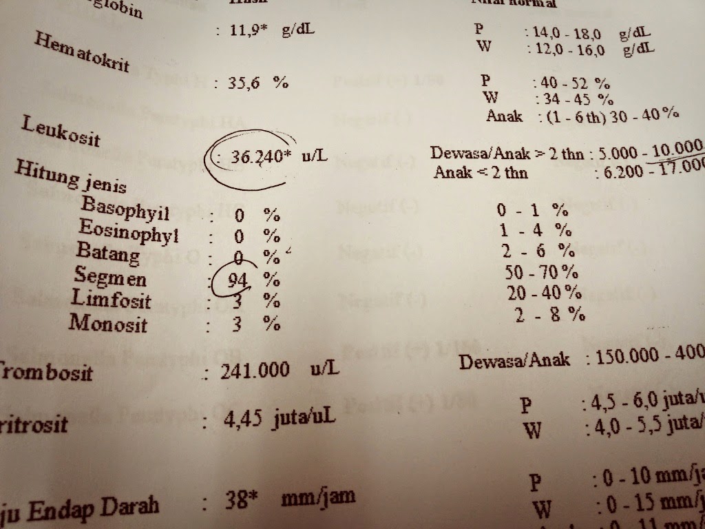 LEUKOSIT TINGGI PDF LEUKOSIT TINGGI PDF