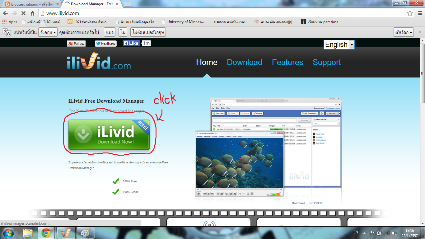 Ilivid Download Manager For Windows 10 jubjang: "iLivid Download Manager"