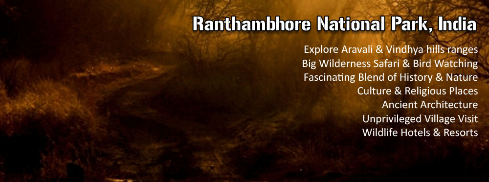 Ranthambhore National Park | India