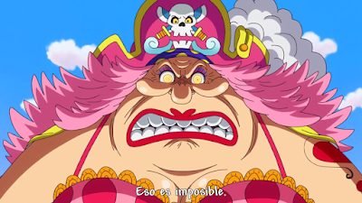 Ver One Piece Saga de Whole Cake Island - Capítulo 833