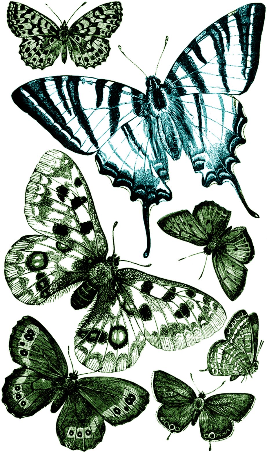 free vintage butterfly clipart - photo #19