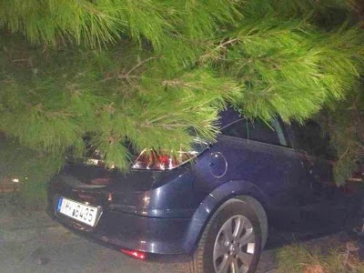 Μη εφαρμογή σχετικών διατάξεων σε αίτημα αποζημίωσης λόγω πτώσης δέντρου σε σταθμευμένο όχημα