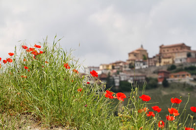 Poppies and View of La Morra