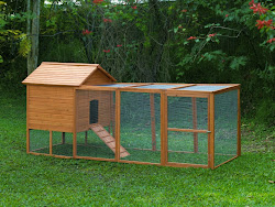 chicken coop run coops chickens pen plans range simple build homemade coup breeding ramp backyard poultry need duck yard gallinero
