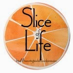 Slice of Life 2017