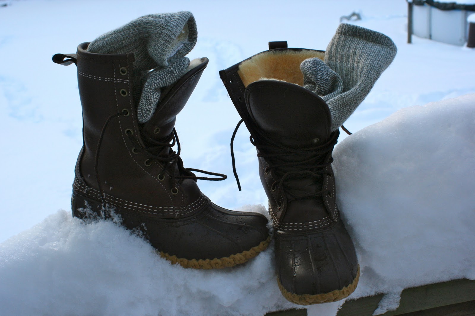 Pleasing 2 the Eye Review Bean Boots