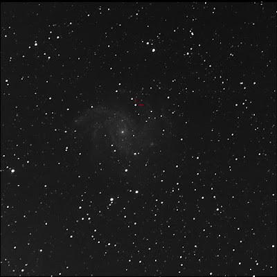 NGC 6946 with supernova marked