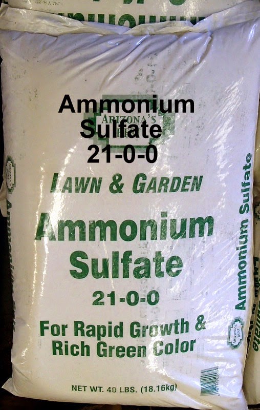 Viragrow Delivers! Vegetables, Sprouts and Herbs for Las