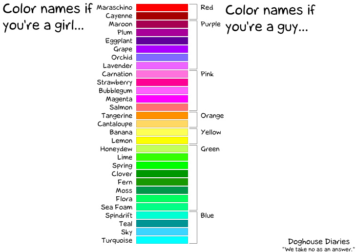 Guy Vs Girl Color Chart