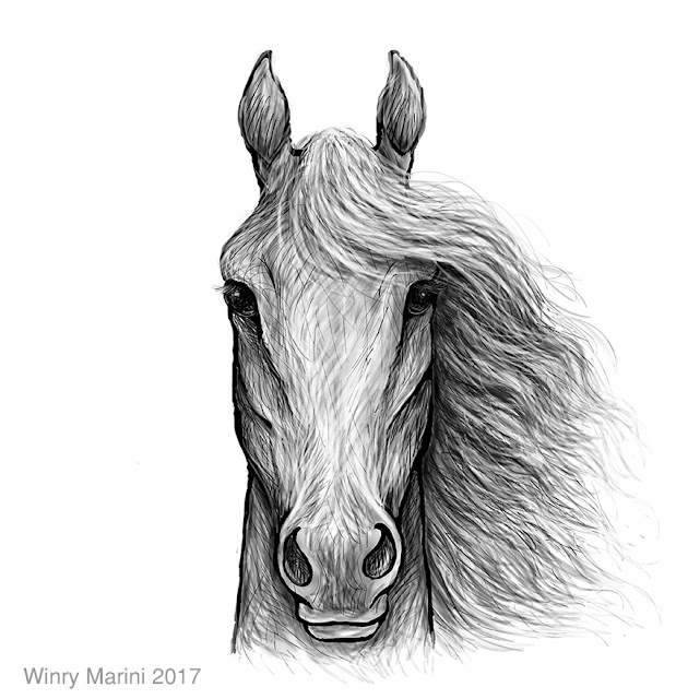 Horse Head Front View Sketch