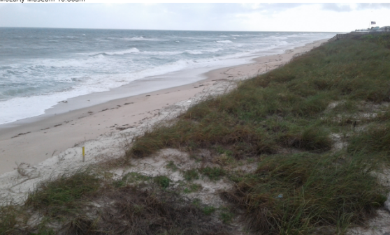 The Treasure Beaches Report Direct From Florida's Treasure Coast.: 11 ...