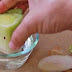 Use Your Leftover Food Scraps To Create A Robust Vegetable Garden