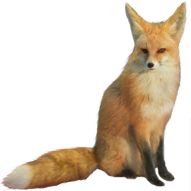 FOX PNG FOX FREE DOWNLOAD ALL HD PNG FOR PICSART AND PHOTOSHOP - FREE ...