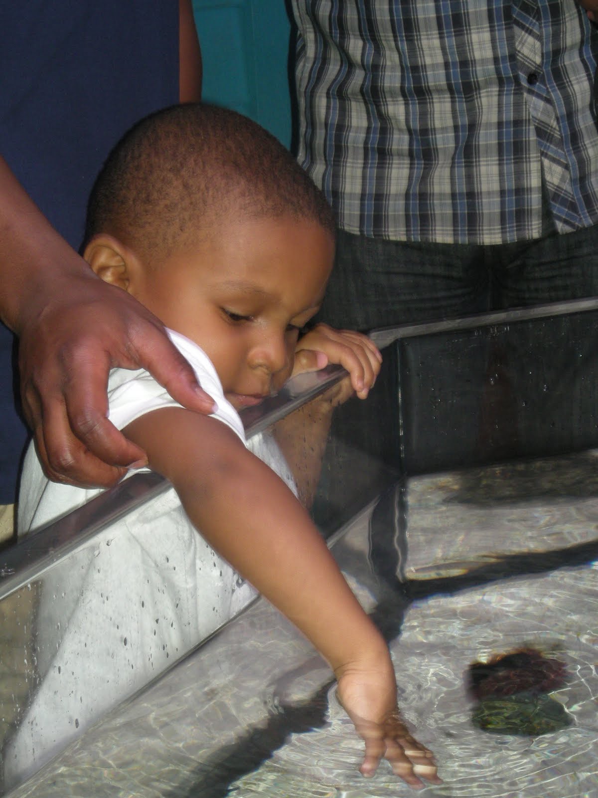 Sojourner Marable Grimmett Mother's Day Brunch at Aquarium