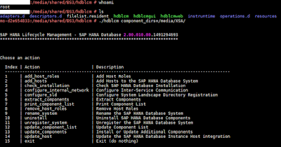 sap hana mdc, sap-hana-xs, mdc, sap hana