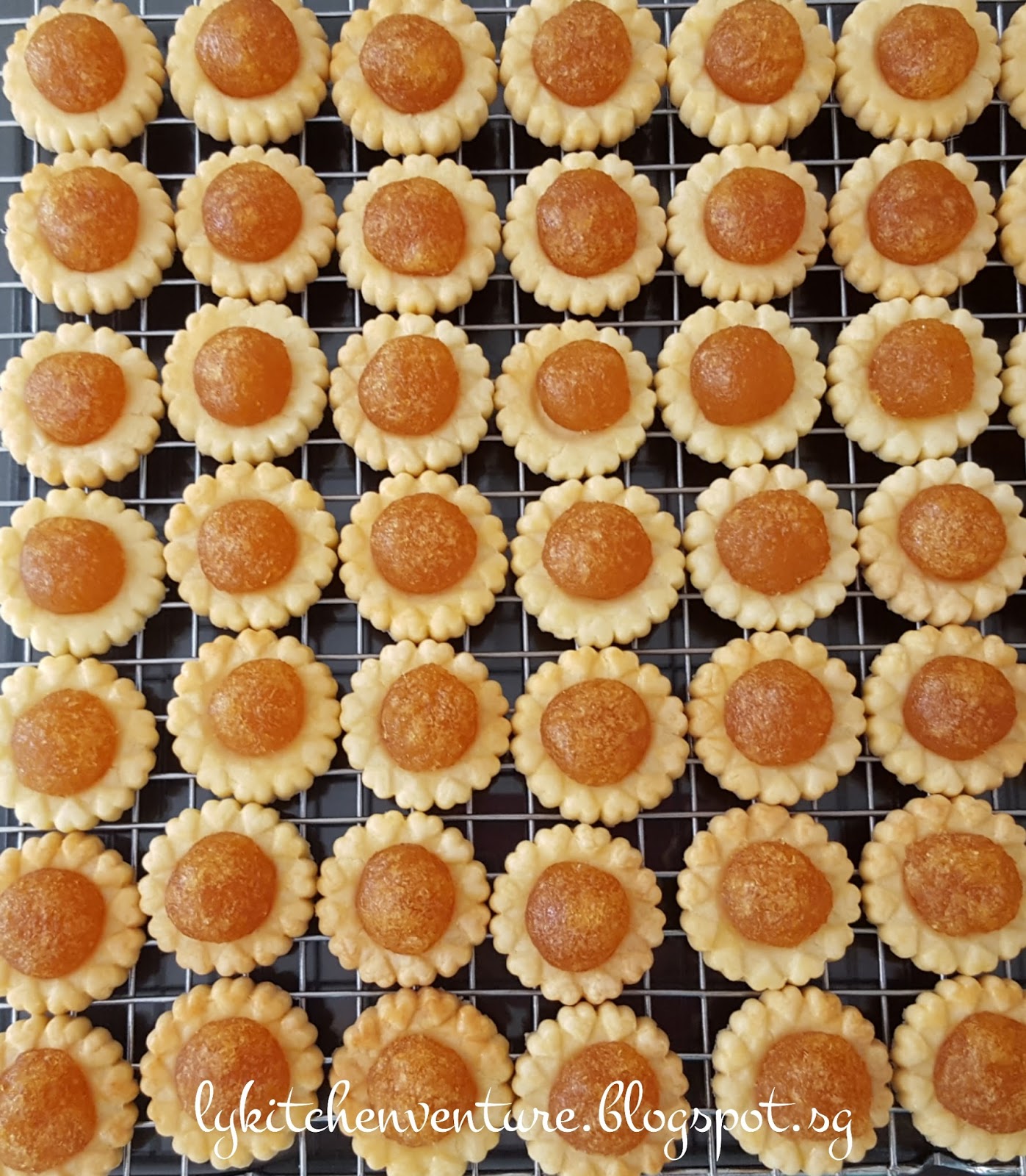LY's Kitchen Ventures Pineapple Tarts (Open Version)