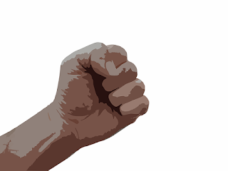 Another silly idea is that the human hand evolved for the *reason* of making a fist to punch out opponents. Yes, really! No evidence for the how or why, of course. Also, comments on Pluto, and a link to Doug McBurnery's podcast, "The Weekly Worldview".