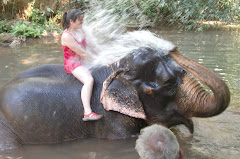 taking a bath with the elephant