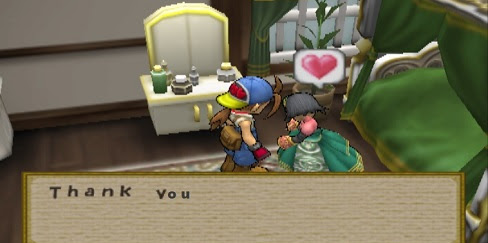 Villager Birthdays, Likes and Dislikes - Harvest Moon: Save The Homeland Guide