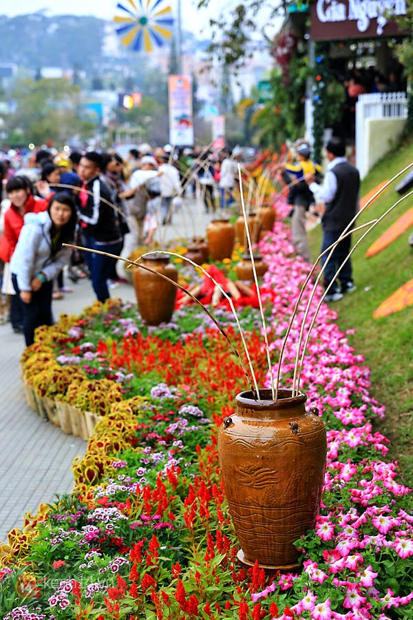 bien-nguoi-do-ve-da-lat-tham-du-festival-hoa-nam-20139.jpg