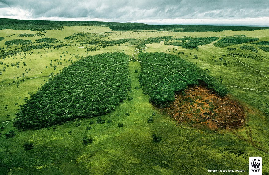 40 Of The Most Powerful Social Issue Ads That’ll Make You Stop And Think - Deforestation And The Air We Breathe: Before It’s Too Late