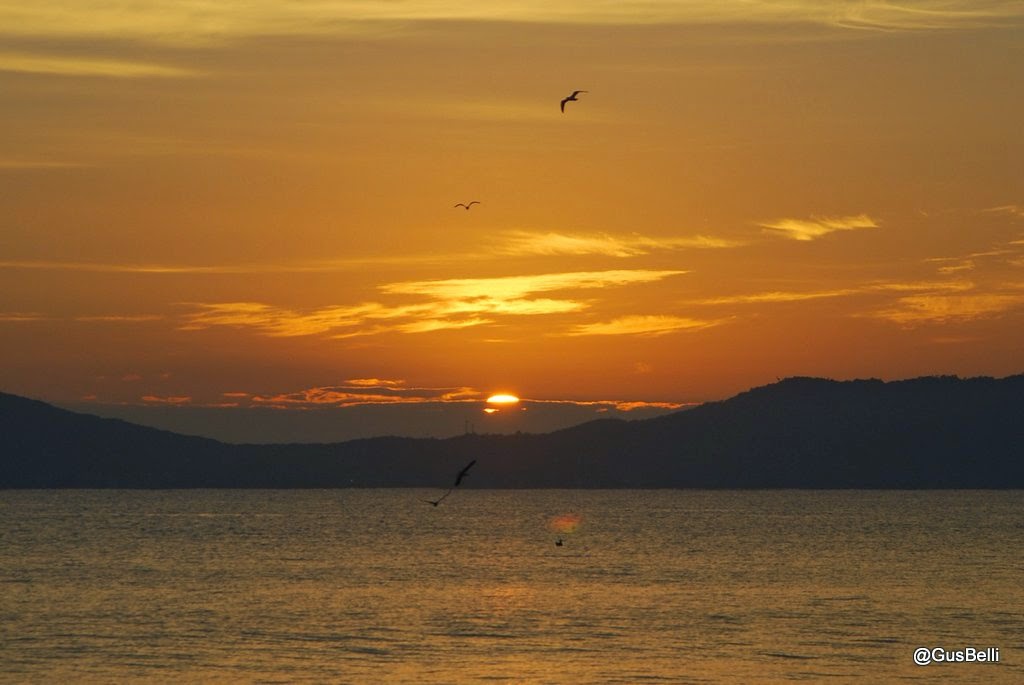 Nascer do Sol em Jurerê Internacional