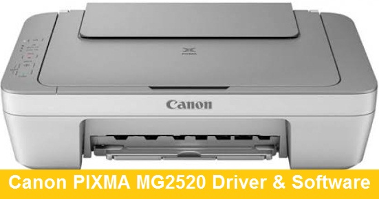 canon printer mg2520 printing programs