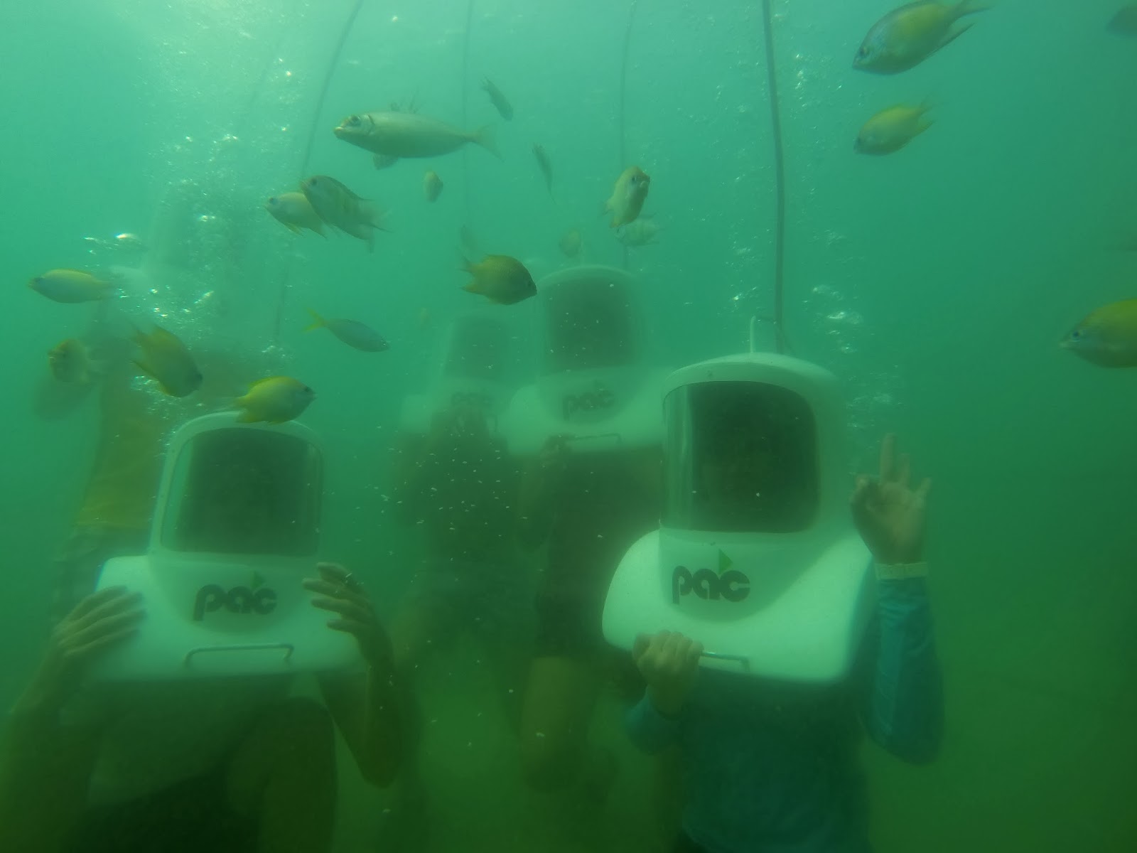 H E L L O ♥ K I M M Y Helmet Diving at Governor's Island, Hundred Islands