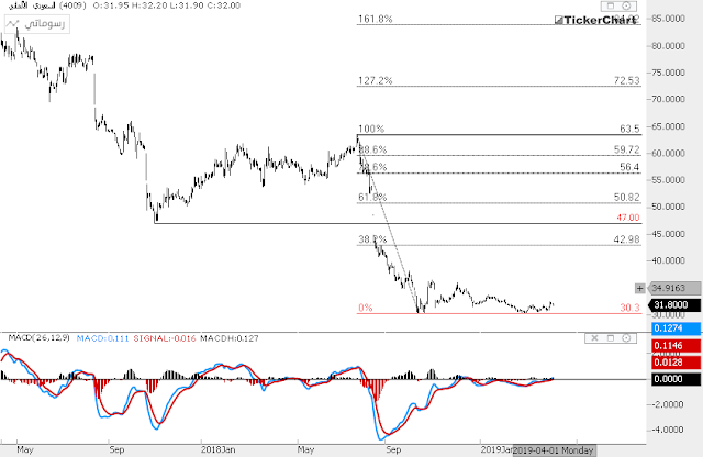 السعودي الالماني