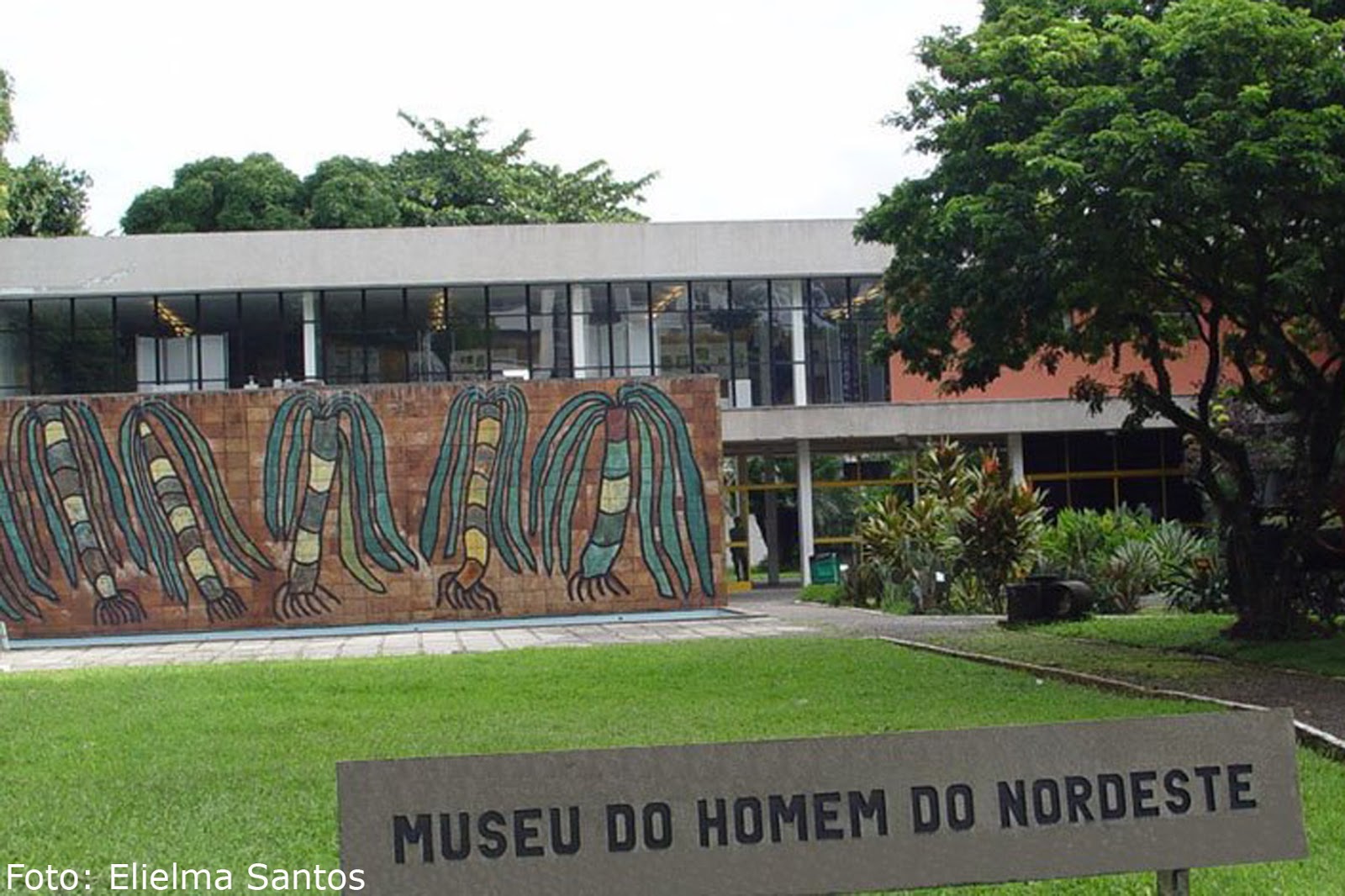 Histórias e Cenários Nordestinos: Museu do Homem do Nordeste