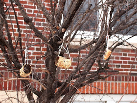 toilet paper roll bird feeders hung on tree